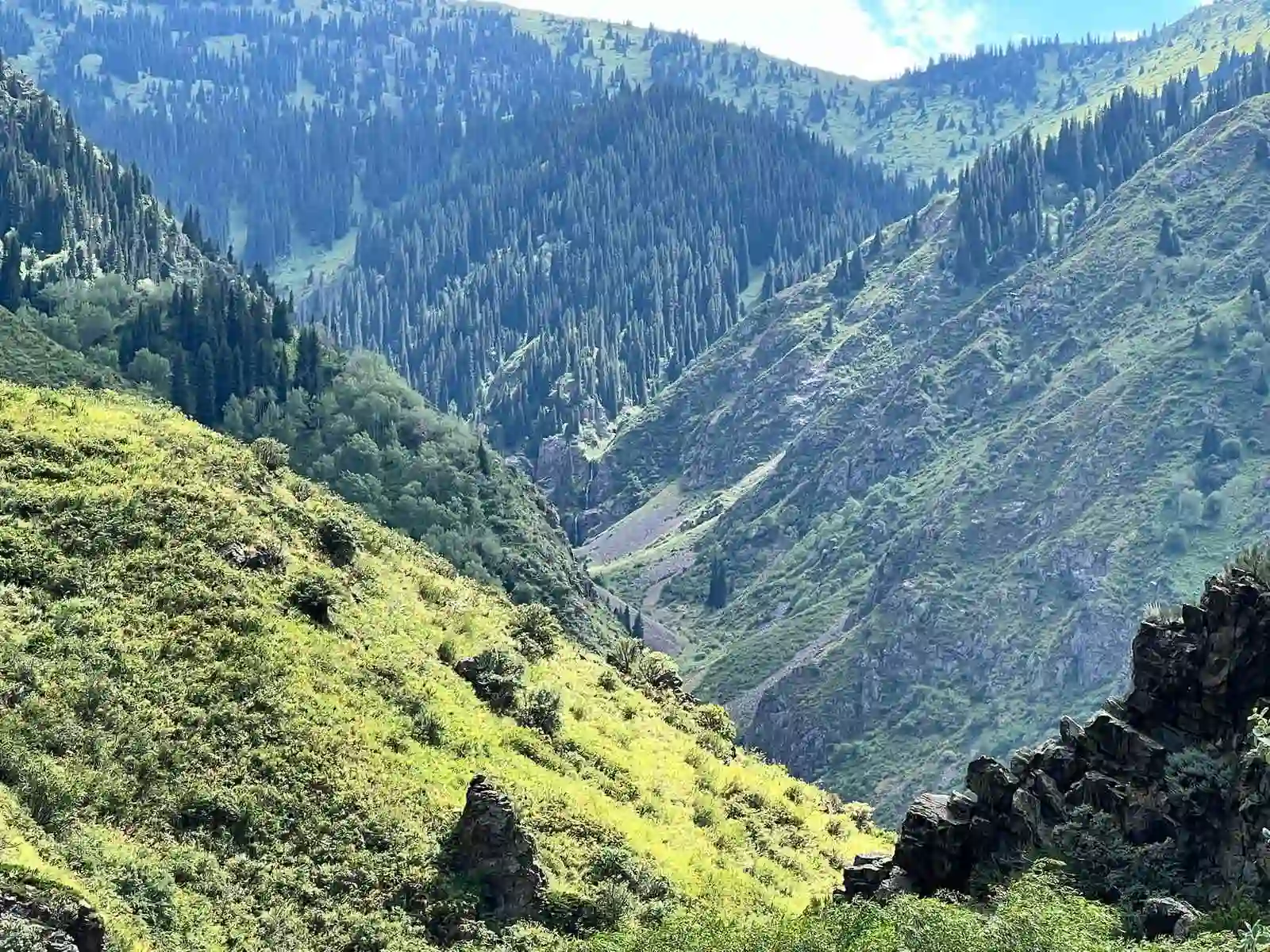 Green forested slopes of Turgen Gorge with a distant waterfall cascading down the valley